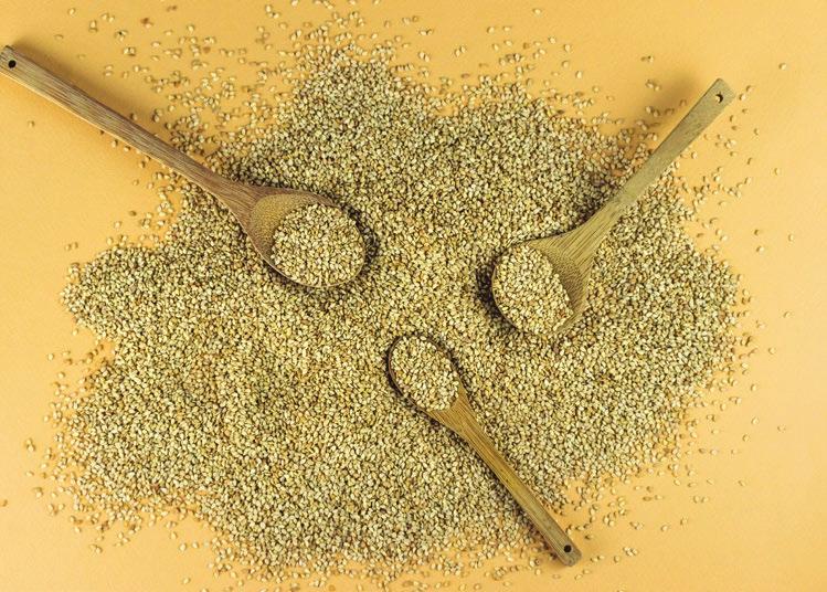 21 SESAME SEEDS Organic, Natural Sesame seeds are derived from a plant of the Sesamum genus and bear the scientific name of Sesamum indicum.