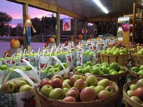9:00 am - (August November) Visit one of the many family-owned orchards in Apple Country this morning and take home fresh picked apples, fresh apple cider, apple cider doughnuts, and many other apple
