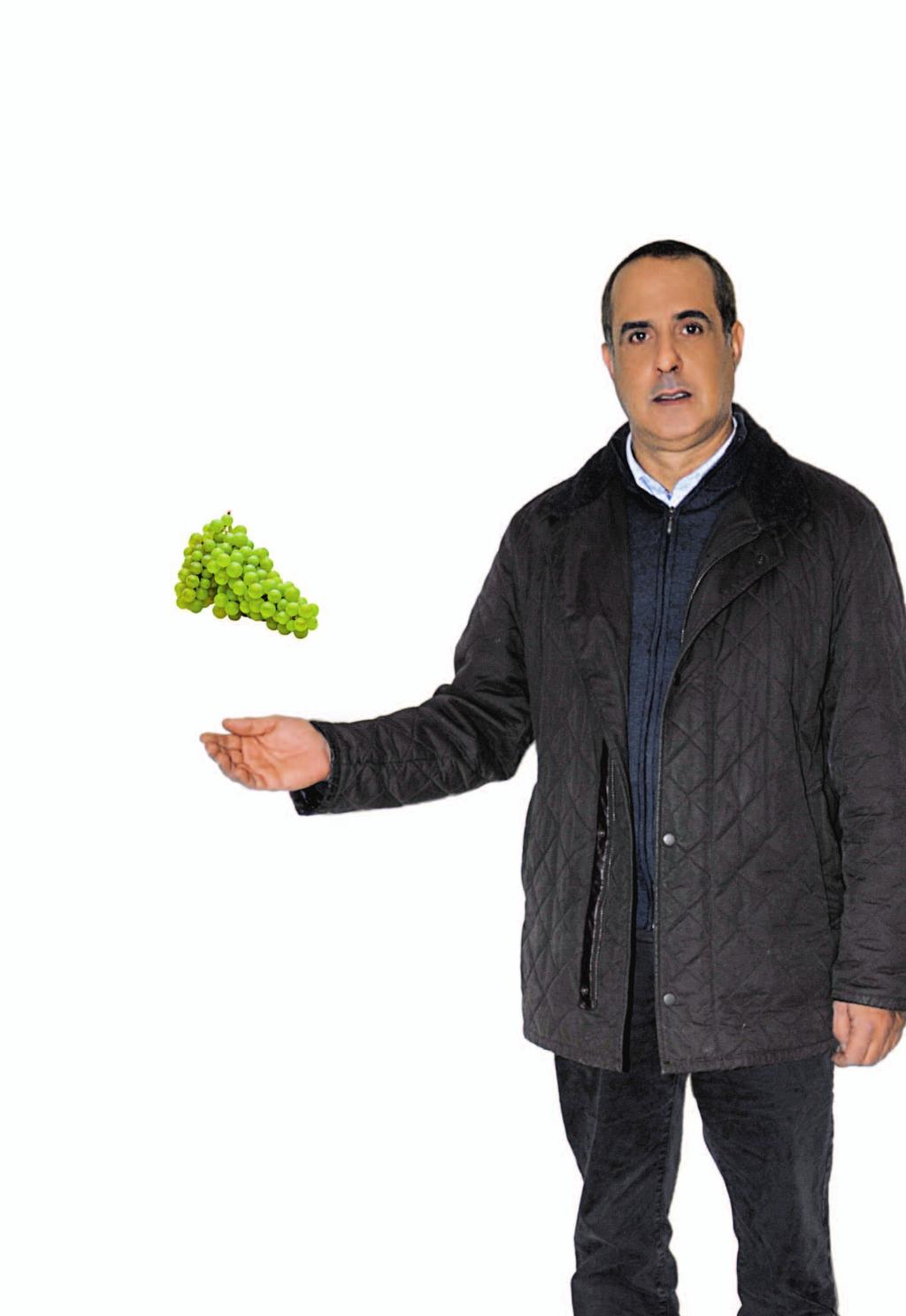 The Moroccan Table Grape Project Commitment of all