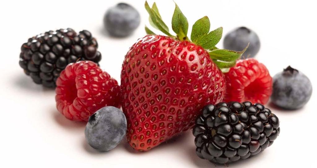 Product Development Services Naturipe can help you with expanding the unique flavors, health benefits and versatility of berries, through innovations in: Culinary Development for foodservice