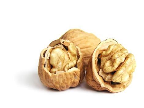 Ukrainian nut association