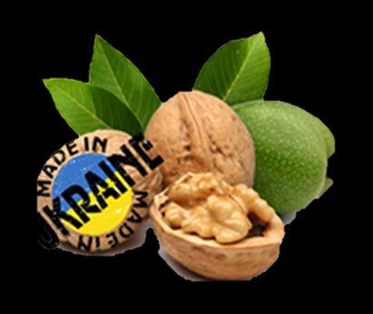 Ukraine is high volume exporter of walnuts, not having by this the