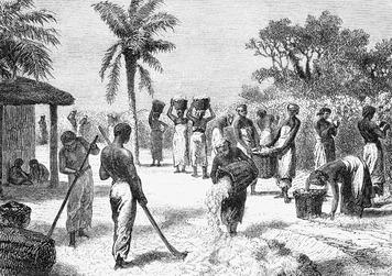 Slavery Comes to America This high death rate contributed to the introduction of African slaves to the Americas.