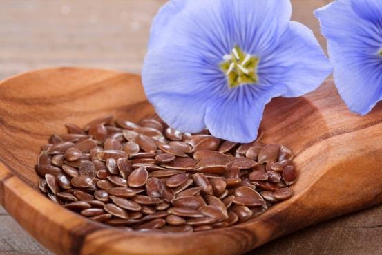 Flax Seed Uses in Industries Food Since ancient times in Northern India, flax seeds have been eaten roasted and powdered in boiled rice mixed with salt and a little bit of water.