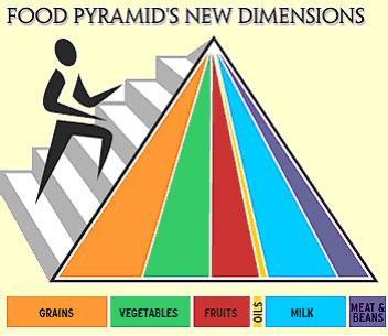 The new pyramid also recognizes that not all foods in any of the groups are healthy. It is important to eat more of the good grains or vegetables than the bad. iii.
