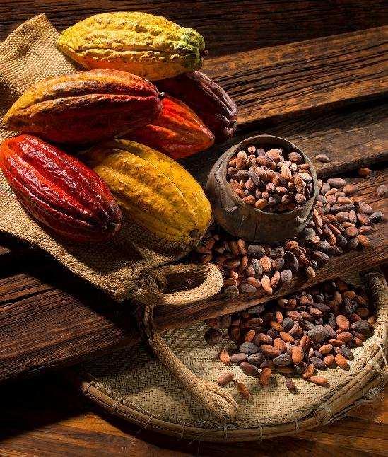 The Finode Aroma denomination is an International Cocoa