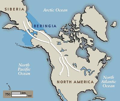 Near the Bering Strait, the water level fell and uncovered a land bridge between Siberia and Alaska Later,