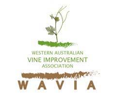 Evaluation of Alternative Varieties at Manjimup 54 new varieties and clones imported by DAFWA and WAVIA since 1998 Identified for their domestic and international market potential no information on
