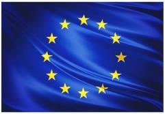 Sui generis unitary system Sui generis system in the EU since 1992 (Council Regulation No.