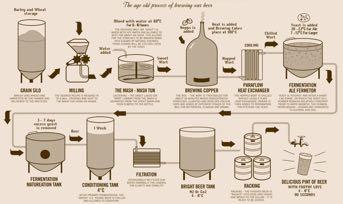 AN OVERVIEW OF THE BREWING PROCESS Jared Long Head Brewer