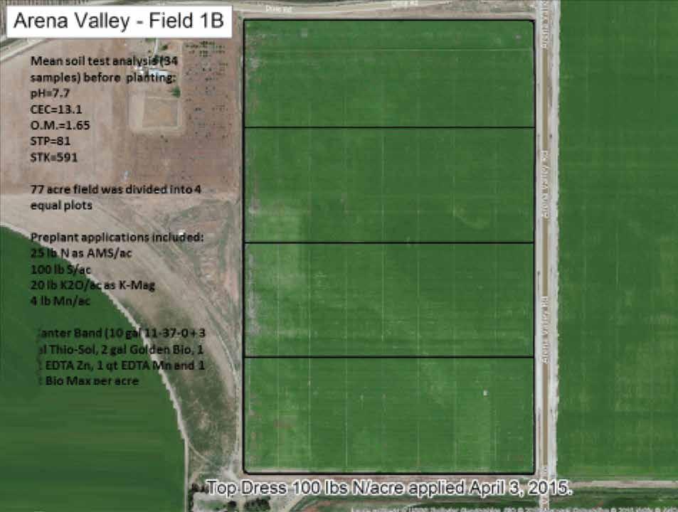 Arena Valley Field 1B Mean soil test analysis (34 samples) before planting: ph=7.7 CEC=13
