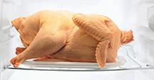 Fryer-Roaster Turkey: A young turkey, usually less than 16 weeks of age and of either gender.