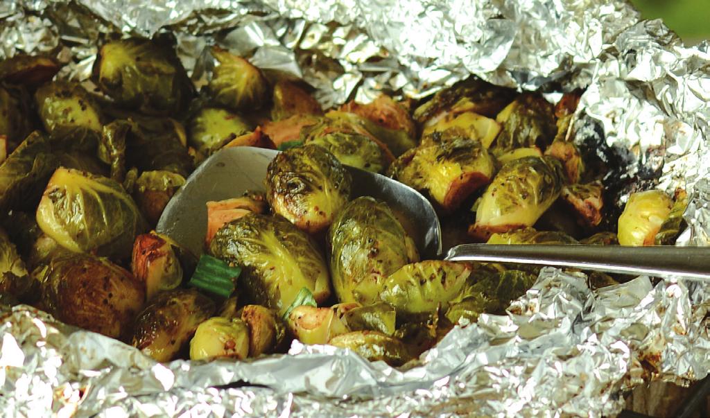 Campfire Chicken Gyros 1 packet Dill Pickle Dip Mix ½ cup sour cream ½ cup mayonnaise ½ cup peeled, seeded and chopped cucumber 2 packets Greek Herb Beer Marinade Mix 1 cup beer 2 lbs.
