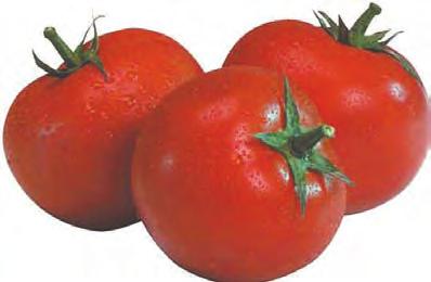 Hot House Tomatoes 1.