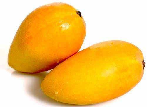 5 fresh banganpalli mango Banganpalli is famous variety in South India Region. It is also called King of Andra-fruits in South Indian region. Mango is big in size and It s flesh is Juicy & Yummy.