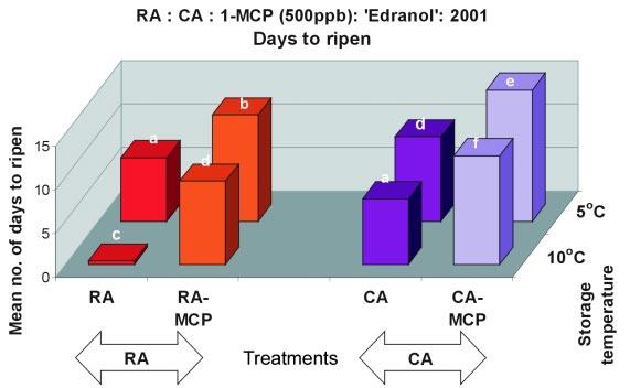 31 The 1-MCP treatments did not directly influence the incidence of black cold injury either.