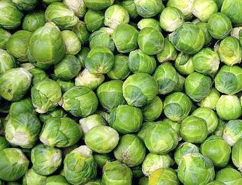 Should be firm, green, not yellow, compact and about 1 inch in diameter. Select even size for cooking and perhaps cut large sprouts in half. Best when absolutely fresh; store no more than 1-2 days.