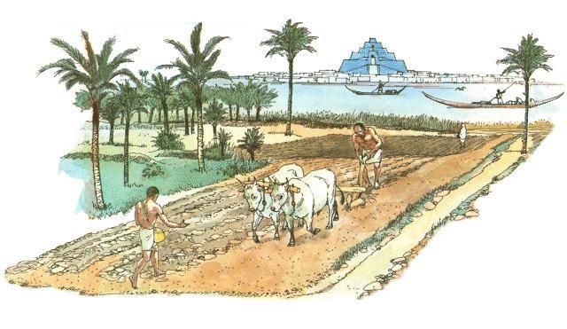 Technology for Farming Sumerians used technology to turn Mesopotamia into productive farmland. They dug miles of canals to irrigate (supply water to) their crops.