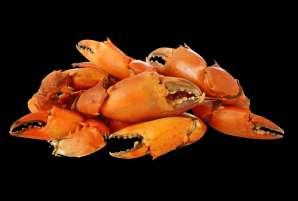 & Eat 3646 Legs & Claws TBC Crab Claws (Cap Off) Blanched Crab
