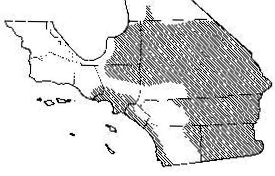 California Distribution anthonyi