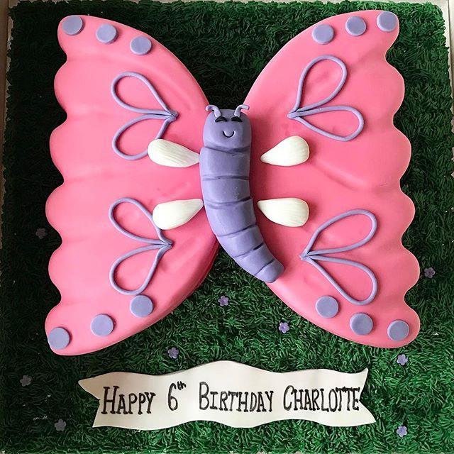 Butterfly cake This colourful cake is made from a carved round cake and cleverly arranged to create a beautiful butterfly sat on a bed on grass!