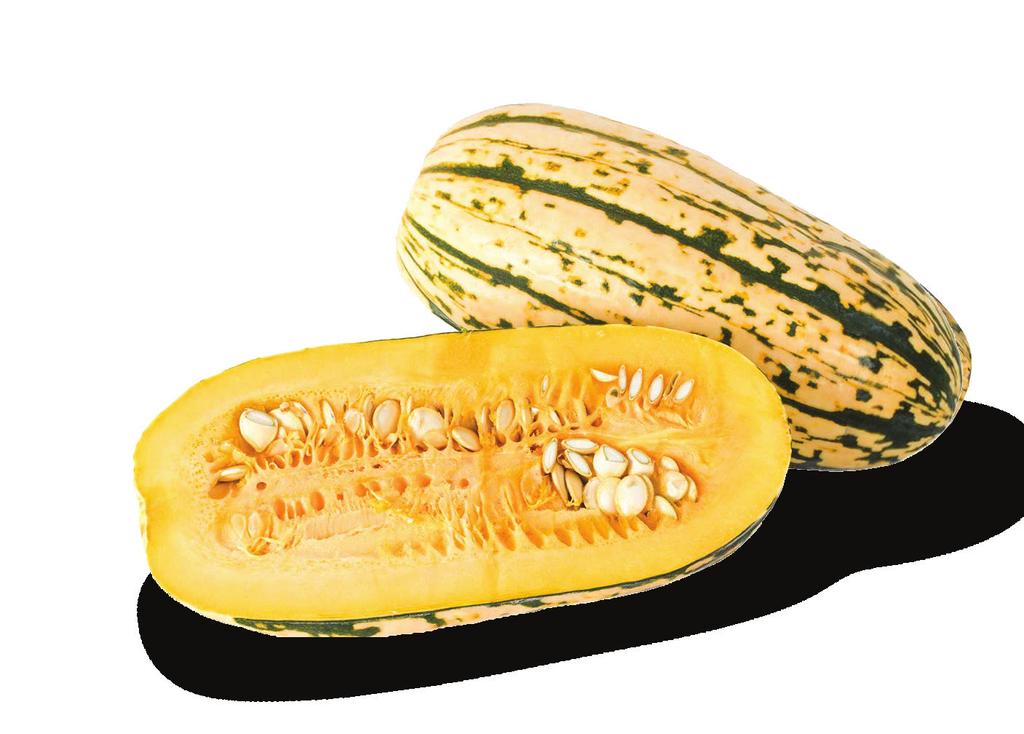 Delicata Creamy colored skin with dark-green stripes and yellow flesh Thin edible skin delicate and tender when cooked Rich, sweet potato-like flavor and creamy consistency when cooked