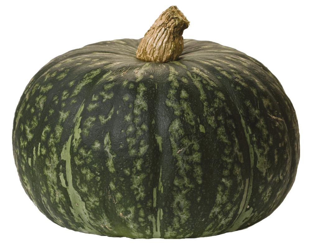 Kabocha Rich deep green, slightly ribbed skin with bright yellow-orange flesh Japanese squash variety that is a staple in Asian cuisine Edible skin an excellent source of fiber; flesh high in