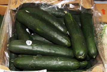 OG CUCUMBERS Organic Cucumbers are in better supply this week out of Mexico. Pricing is down somewhat. Florida grower are reporting low yields in their new plantings of Organic Cucumbers.