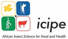 REAL METARHIZIUM REAL METARHIZIUM Real IPM (Kenya) Ltd has commercialised a number of entomopathogenic fungi (Metarhizium anisopliae) from icipe an international research institute based in Nairobi,