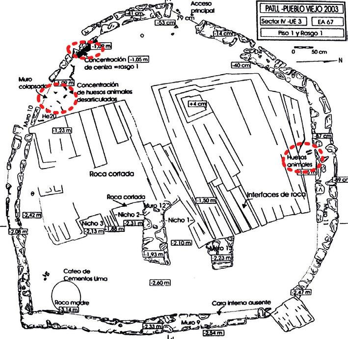 ritual commensality between human and non-human persons Fig. 2 Sketch map of Summit Temple with areas circled in red indicating concentrations of llama bone and ash. Ater Makowski et al.