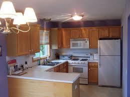 Home Requirements Area to be clean and sanitary before food preparation
