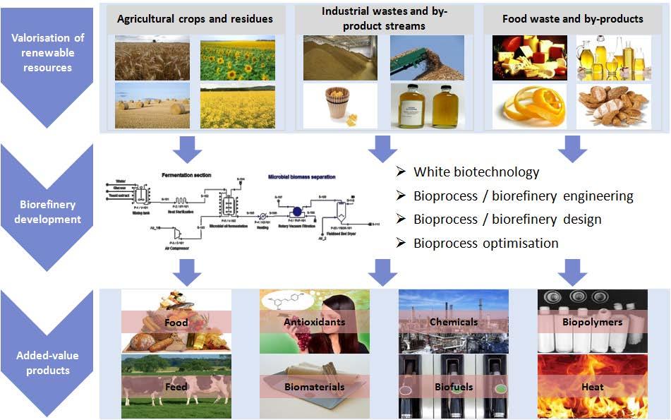 MSc direction entitled Food Bioprocesses and Biorefineries Organisation: Department of Food Science and Technology, Agricultural University of Athens Duration: 18 months Language: Greek Website: www.