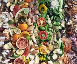 Food Wastes Common Processes in