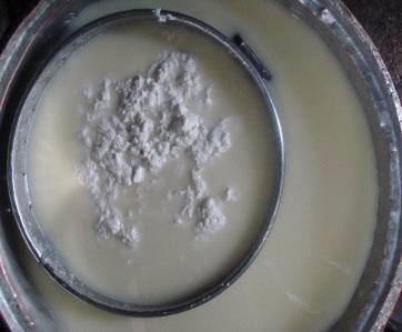 Cheese Whey Valorization Whey proteins