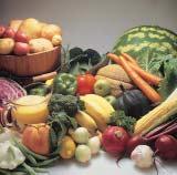 Section 2 Food Buying Guide for Child Nutrition Programs Vegetables/ Fruits Requirements Regulations for the Child Nutrition Programs require that each reimbursable breakfast, lunch, or supper served