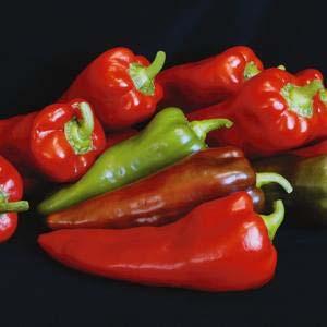 Pepper Carmen Sweet pepper, 6 inches long, elongated shape Full sun, high