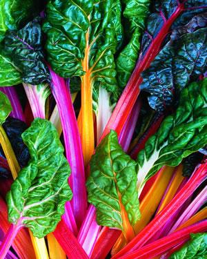 Swiss Chard Bright Lights Stems are yellow, gold, orange, pink, violet or