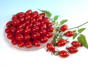 Tomato Sugary Very sweet, clusters like grapes Oval with