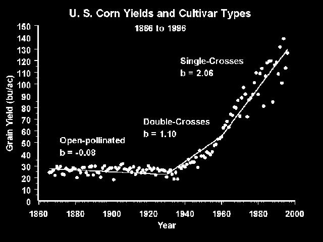 U. S. Corn