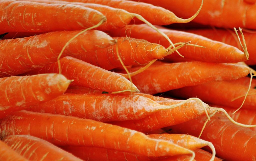 Carrots need to be sliced or diced prior to pressure canning. About the Author Created: 2009 Updated by: Ann Hamilton, Food Safety Field Specialist January 2018 Catherine Violette, Ph.