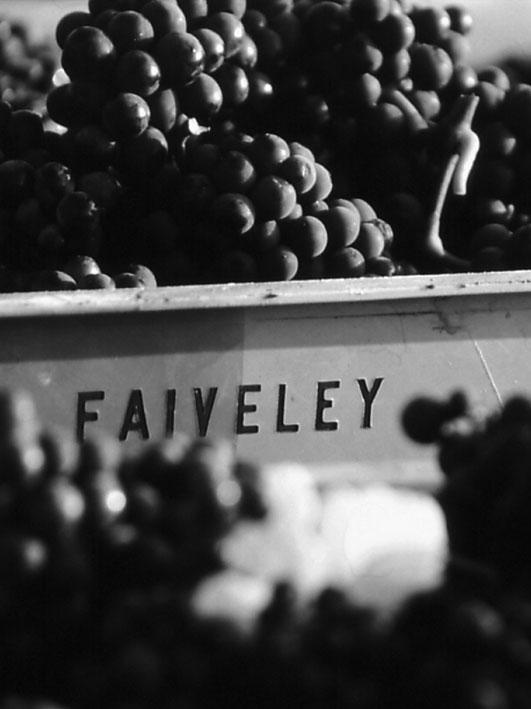 Domaine Faiveley Domaine Faiveley is located in France, at the heart of Viticultural Burgundy, between Dijon and Beaune in Nuits-Saint-Georges.