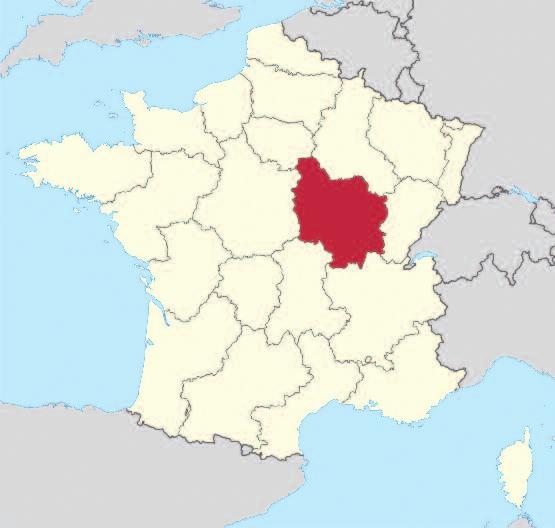 Borgogne Competes with Bordeaux to be the most famous winegrowing region in the world.