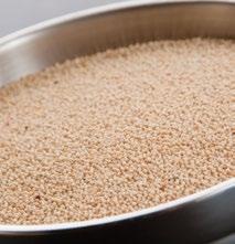 Amaranth can be cooked as a cereal, popped, toasted or cooked with other grains for a signature pilaf.
