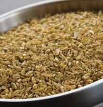 .  cooking time: 45-50 minutes Black Barley Parboiled Chia Greenwheat Freekeh, Cracked Spelt This barley, with its bran