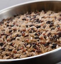 black barley, daikon radish seeds, and California red rice offers great texture.