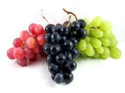 Grapes Red Grape pricing is firming up as shippers try to slow down movement and extend supplies into December.