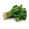 BABY SPINACH Baby and clipped spinach supplies are good. Quality is good, with good prices. There are some reports of mildew. BUNCHED SPINACH Supply is good, quality has improved.