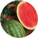 outsell seeded watermelon!