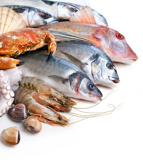 SEAFOOD Chef Middle East s mission is to provide the finest quality seafood products and superior customer service combined with the most competitive pricing.