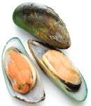 FROZEN SHELLFISH PRODUCT RANGE MUSSELS SCALLOPS OYSTER UOM: